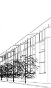 Leonberg (8. Semester)